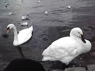 c0077672_05276.jpg