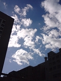 e0081772_1461371.jpg