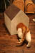 c0144173_23214242.jpg