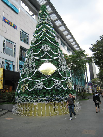 a0002177_2243474.jpg