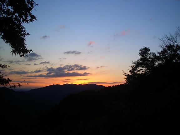 b0053478_15292156.jpg