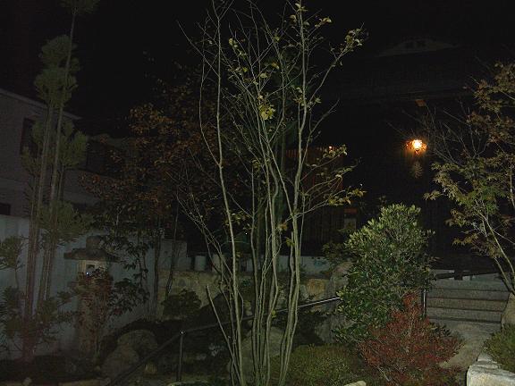 e0069481_023616.jpg