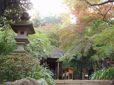 c0105785_9484864.jpg