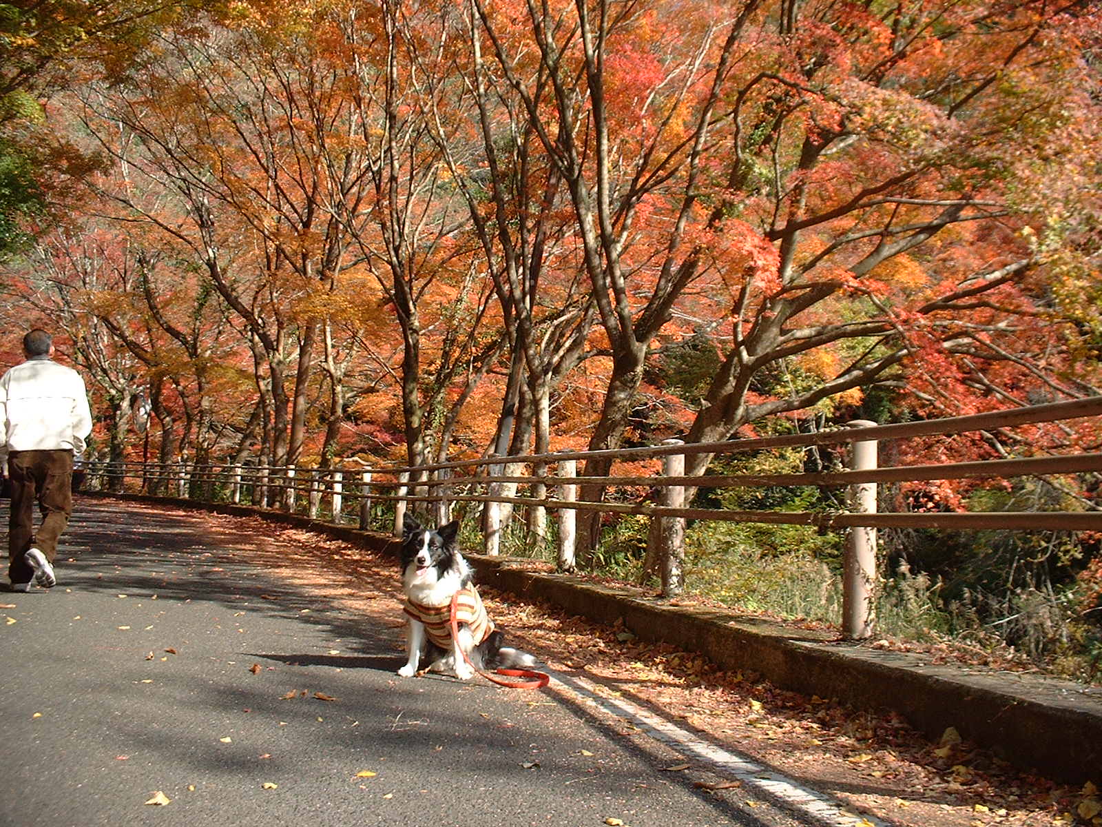 c0120585_21375711.jpg