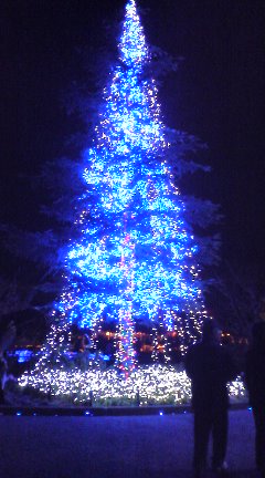 c0119891_16263139.jpg