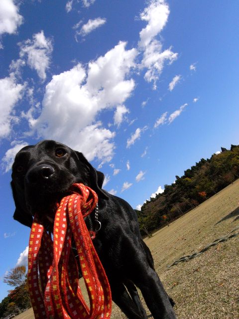a0093592_2444332.jpg
