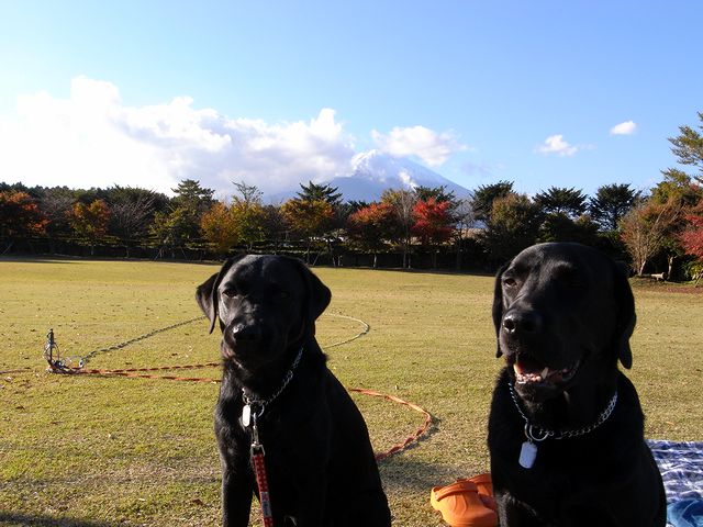 a0093592_343019.jpg