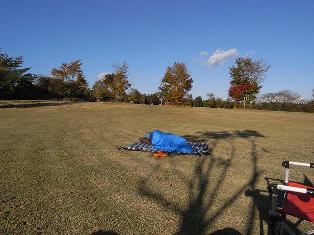 a0093592_385196.jpg