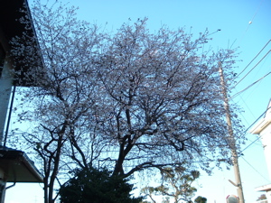 c0149195_2113329.jpg