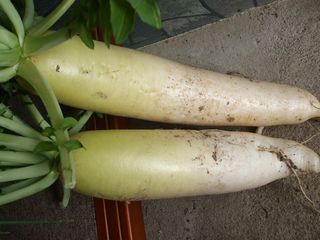 c0103205_22284698.jpg