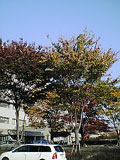 b0043506_2318386.jpg