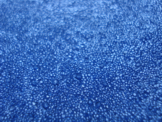 e0015108_111496.jpg
