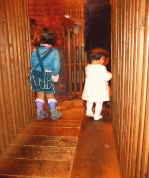 f0130913_1133840.gif