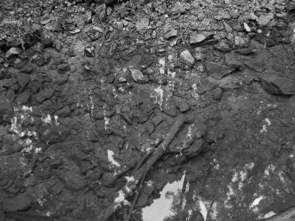 f0107315_2132437.jpg