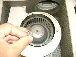 f0153115_2173821.jpg