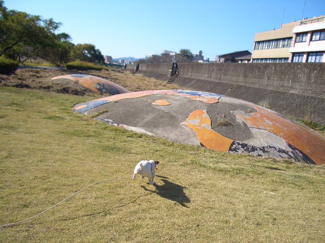 d0123917_17585063.jpg