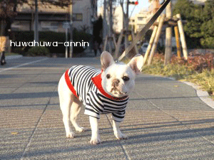 f0155120_2029013.gif