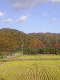 c0104821_0274872.jpg