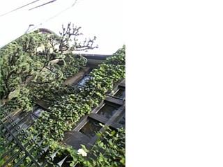 a0019322_23434295.jpg