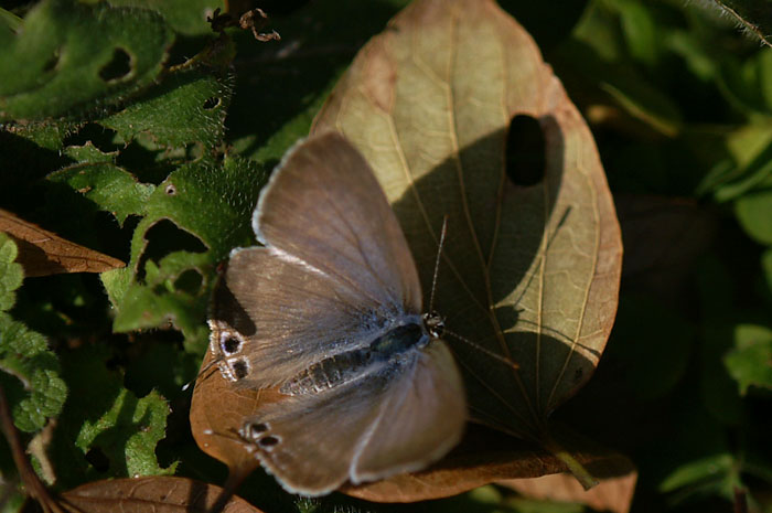 d0089024_1722743.jpg