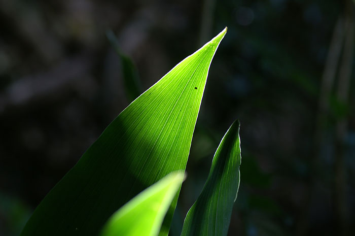 d0089024_17512.jpg
