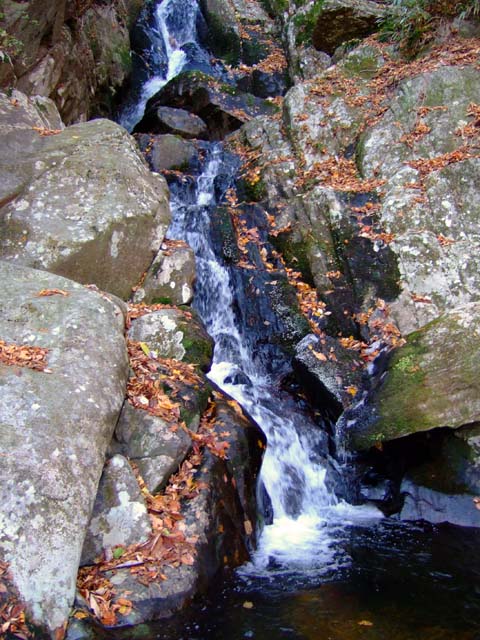 f0147025_2240266.jpg