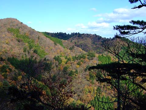 f0147025_22465065.jpg