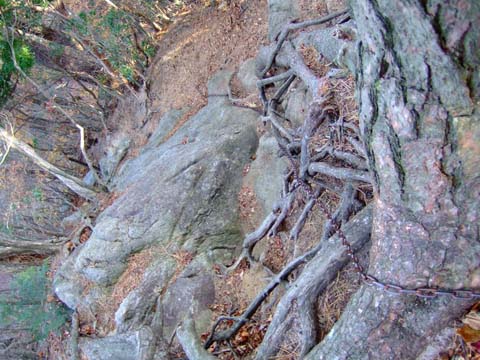 f0147025_2373251.jpg