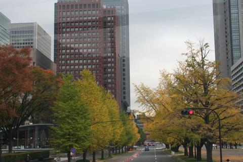 a0078126_8471378.jpg