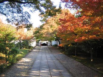 b0074430_21341987.jpg