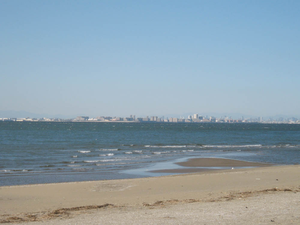 c0117831_20254415.jpg