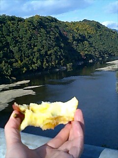 f0118332_159025.jpg