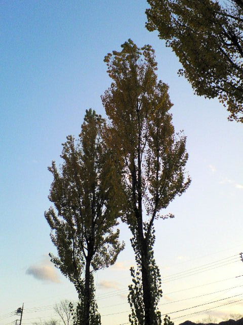e0064133_16493474.jpg