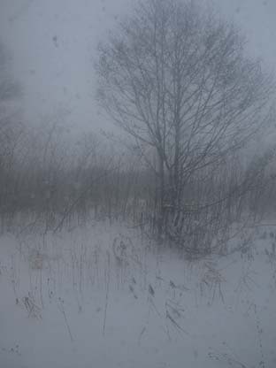 a0094336_10323261.jpg