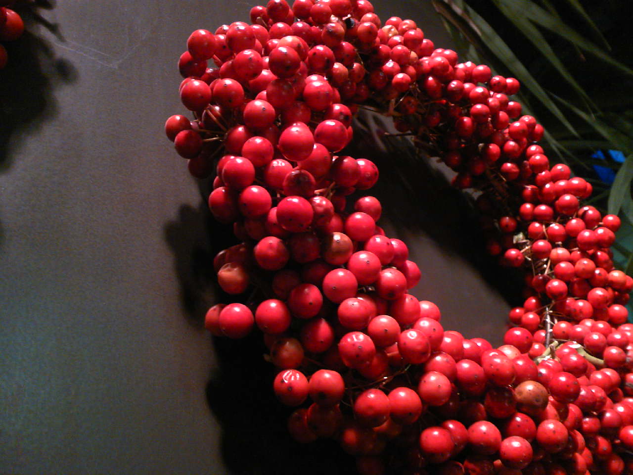 c0125637_23403950.jpg