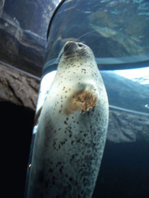 d0007837_14483947.jpg