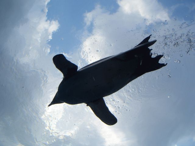 d0007837_14494619.jpg