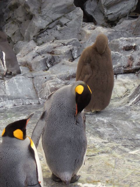 d0007837_14502629.jpg