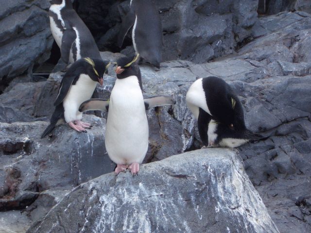 d0007837_1450649.jpg