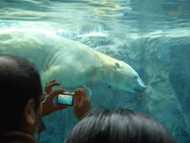 d0007837_14513350.jpg
