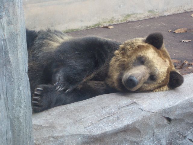 d0007837_14522857.jpg