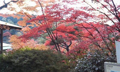 d0020139_22215848.jpg