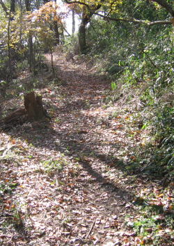 e0049740_17463277.jpg