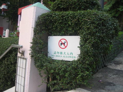 e0018143_17275525.jpg