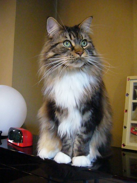 e0005545_0144676.jpg
