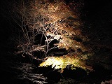 c0017046_23112939.jpg