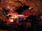 c0017046_23131714.jpg