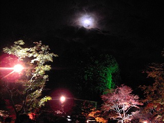 c0017046_23162624.jpg