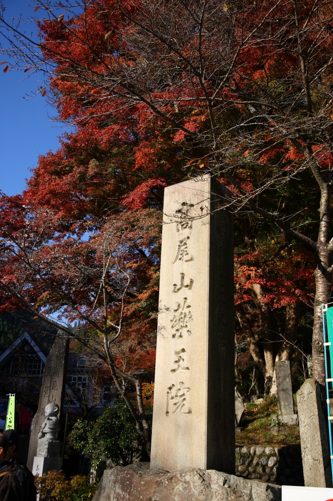 c0115948_229375.jpg