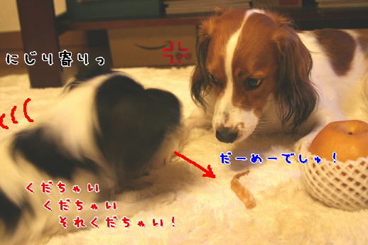 d0013149_049925.jpg
